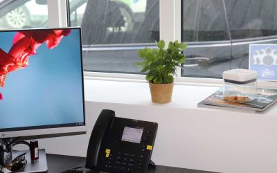 Local Customer Service