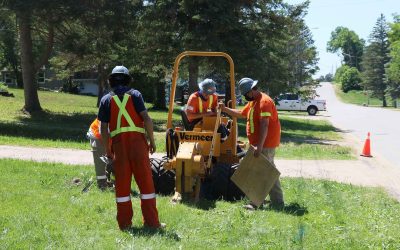 2022 in the Rear View