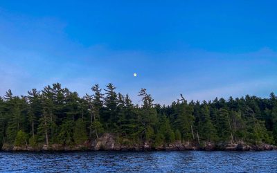 The Importance of Water Safety