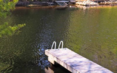 A Student’s Journey