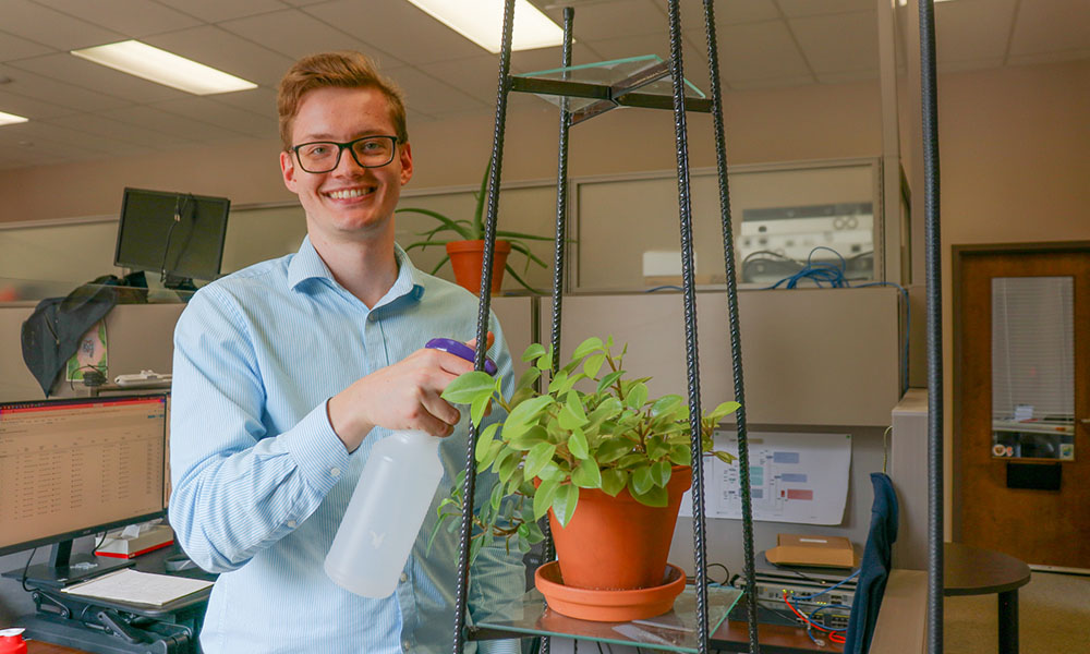 Employee watering plant in office