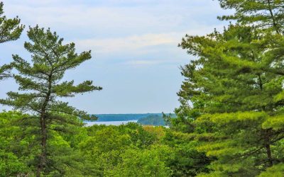 Indulging in Nature: The Benefits of Workplace Social Hour