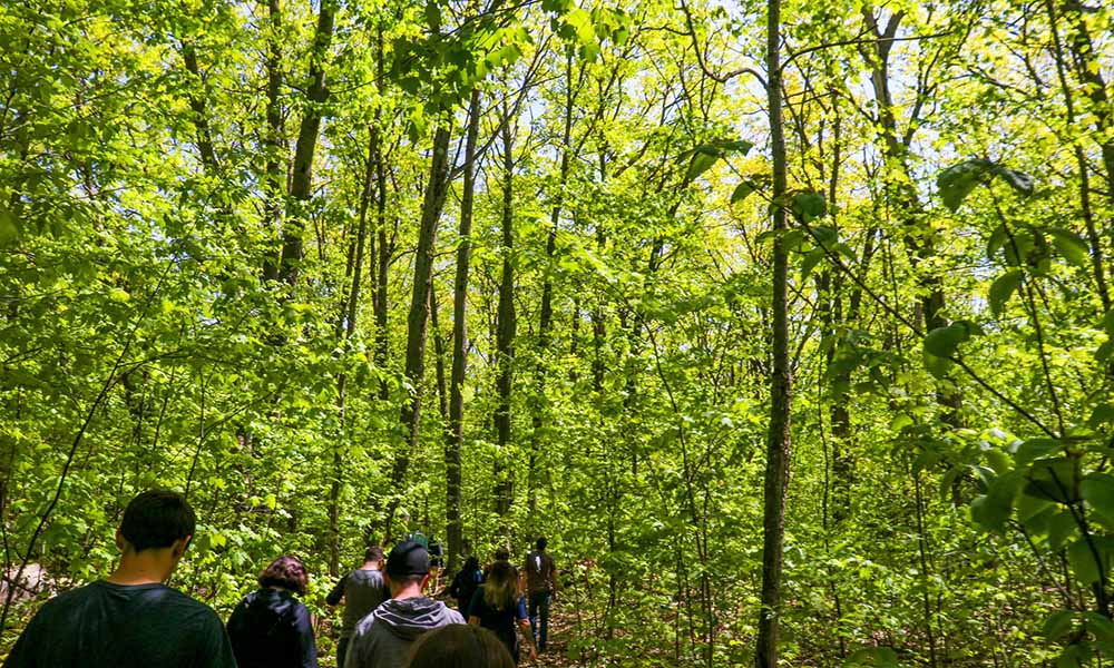 Group of lakeland employees walking through trails.