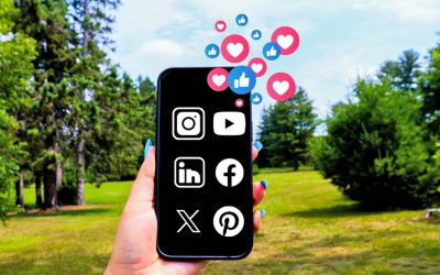 Finding Your Digital Stage: Choosing the Perfect Social Media Platform