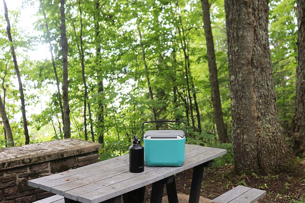 A black water bottle and a turquoise cooler on a picnic table in a forested area.