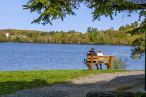 Two friends sitting on a bench looking out towards the water in front of them