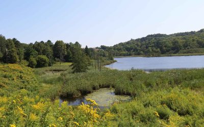 9-8-8: Breaking the Silence