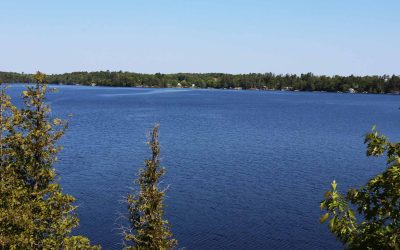 Customized Connectivity: Lakeland’s Flexible Internet Plans