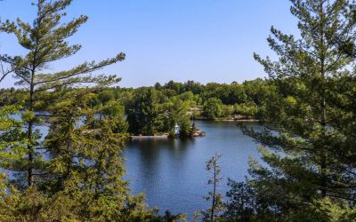 Looking Ahead to Boating Season