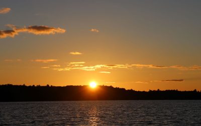 Sun Safety: Your Guide to Protection this Summer